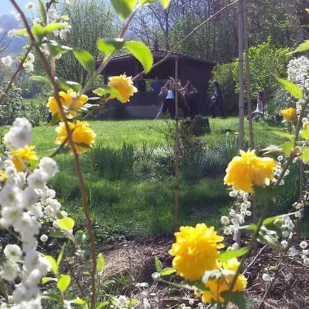 בית נופש Casa Degli Artisti קוליקו